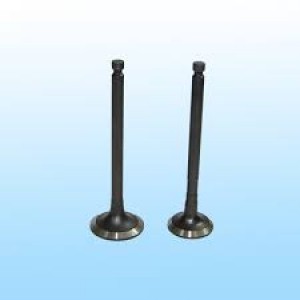 65.04101-0032 In Valve
